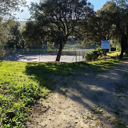 Mazet Dans Le Golfe De St Tropez